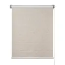 Рулонная штора Праймдекор 11048116, 51.50x170 см