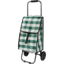 Тележка Рыжий Кот с сумкой D203 "Green", 25кг