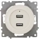 Розетка Onekeyelectro USB двойная встраиваемая с подсветкой цвет бежевый