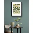 Постер Просто Постер Виды бабочек 50x70 в подарочном тубусе Металл