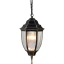 Светильник уличный Arte Lamp Pegasus A3151SO-1BN IP44