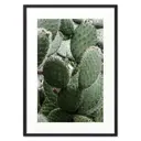 Постер Дом Корлеоне Кактус 07-0434-21x30, 21x30 см