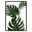 Постер Дом Корлеоне Зеленая монстера 07-0448-30x40, 30x40 см