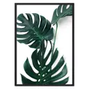 Постер Дом Корлеоне Бирюзовая монстера 07-0449-50x70, 50x70 см