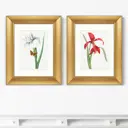 Картина «ArtNoMore» Диптих Antique plants drawn №32, 1802г, (из 2-х картин)