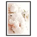 Постер в рамке Дом Корлеоне Белые пионы 1 07-0692-30x40