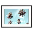 Постер в рамке Дом Корлеоне Зеленые пальмы 2 07-0790-30x40