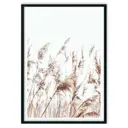 Постер в рамке Дом Корлеоне Камыши 07-0859-21x30