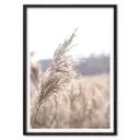 Постер в рамке Дом Корлеоне Камыш 07-0868-50x70