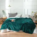 Плед Tango Stripe ST2022-17 200x220 см фланель цвет изумрудный