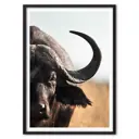 Постер в рамке ДОМ Корлеоне Африканский буйвол - 40x60 см