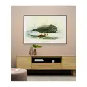 Постер ПростоПостер Кашалот гарнери 40x50 см в раме