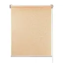 Миниролло ПраймДекор "Фрост" бежевый 57x170