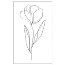 Постер Линии - Раскрывшийся цветок 50x70 см в раме