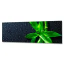 Стеновая панель Фартукофф ФФ - 231 200x60x0.15 см ПВХ цвет черный/зеленый