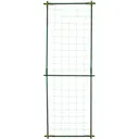 Комплект для вьющихся растений Green Apple GLSCL-1 60x180 см