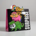 Пакет подарочный Simaland Surpprise 25x26x10 см