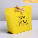 Пакет подарочный You are the best 28x20x9 см