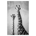 Картина на холсте "Жираф" 70x110 см