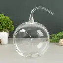 Ваза Evis "Яблоко" 13x15x18 см, из стекла
