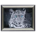 Картина в раме Simaland "Голубоглазый хищник" 16x21 см
