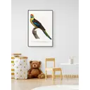 Плакат "Просто Постер" Малиновая розелла 40x50 в подарочном тубусе без рамы маленький