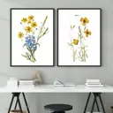 Постер 28 картин "Ботаника, рисунок цветы" 50x40 см