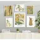 Набор постеров 6 шт 28 картин "Цветы, растения и кувшин акварелью" 110x76 см в тубусе без рамы для интерьера