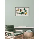 Постер Простопостер "Коллекция различных бабочек" 70x50 см в раме