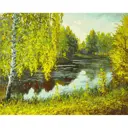 Картина по номерам Белоснежка холст 40x50 см Родные места