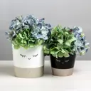 Кашпо 4840650 Дарите счастье 10 см 1.6 л пластик белый