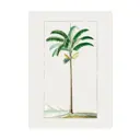 Постер Простопостер "Пальмы - высокая пальма" 90x60 см в раме