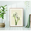 Постер 28 картин Белые лютики цветок 50x40 см без рамы