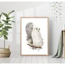 Постер 28 картин "Белые совы" 50x40 см без рамы