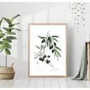Постер 28 картин "Ветка оливы" 50x40 см без рамы