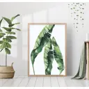 Постер 28 картин Банановые листья рисунок акварелью 50x40 см без рамы