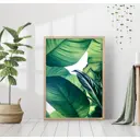 Постер 28 картин "Банановые листья" 70x50 см без рамы