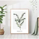 Постер 28 картин Веточка оливы ботаника 70x50 см без рамы