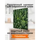 Защитный экран Borntoprint Лес 60x75x0.4 см закаленное стекло цвет прозрачный