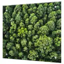 Защитный экран Borntoprint Лес 50x50x0.4 см закаленное стекло цвет прозрачный