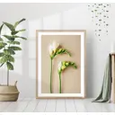 Постер 28 картин "Два белых цветка" 40x50 см, в подарочном тубусе без рамы