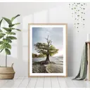 Постер 28 картин "Дерево на берегу" 40x50 см, в подарочном тубусе без рамы