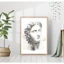 Постер 28 картин "Гипсовая голова апполона" 40x50 см, в подарочном тубусе без рамы