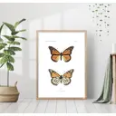 Постер 28 картин "Две оранжевых бабочки" 40x50 см, в подарочном тубусе без рамы