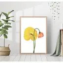 Постер 28 картин "Желтый и красный маки" 40x50 см, в подарочном тубусе без рамы