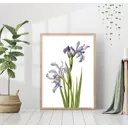 Постер 28 картин "Ириса цветок" 40x50 см, в подарочном тубусе без рамы