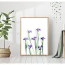 Постер 28 картин Ирисы цветы 50x70 см, в подарочном тубусе без рамы