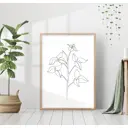 Постер 28 картин "Листья камелии" 40x50 см, в подарочном тубусе без рамы