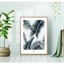 Постер 28 картин Листья пальмы Монохром 40x50 см, в подарочном тубусе без рамы