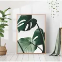 Постер 28 картин "Крупные зеленые листья" 40x50 см, в подарочном тубусе без рамы